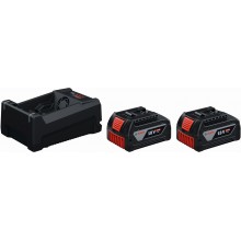 BOSCH 2x GBA 18V 5.0Ah + GAL 12V/18V-80 PROFESSIONAL Súprava nabíjačky akumulát 1600A03CH1