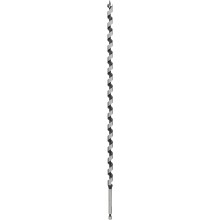 BOSCH Hadovitý vrták do dreva PRO Wood, 12 x 385 x 450 mm 2608597642