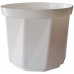 PLASTKON Dekoratívny kvetináč Rosa 25 cm biela