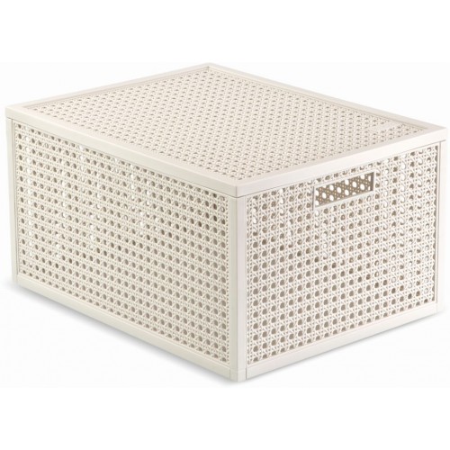 CURVER KAYA M 20L Úložný box 37,6 × 30 × 20,7 cm, béžový 17213763 CURVER KAYA M 20L Úložný box 37,6 × 30 × 20,7 cm, béžový 17213763