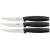 Fiskars Functional Form súprava 3 steakových nožov (102659)