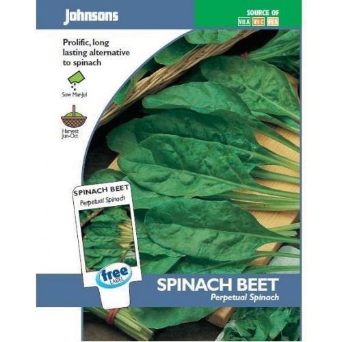 JOHNSONS Mangold "Perpetual spinach" 10486