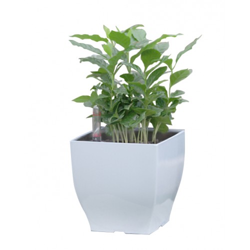 Samozavlažovací kvetináč G21 Cube mini biely 13,5 cm 6392570
