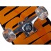 SPORTWELL Skateboard 31x8AA, 80 x 20 cm 51YX0214