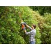 Black & Decker BEHTS301 Elektrické nožnice na živý plot (50cm/500W)