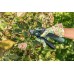 Bosch EasyPrune Akumulátorové záhradné nožnice 06008B2100