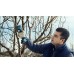 BOSCH PRO PRUNER PROFESSIONAL Akumulátorové záhradnícke nožnice 12V, 2x 3,0Ah 06019K1021