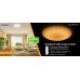 DALEN inteligentné LED stropné osvetlenie DL-C408TX
