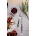 Fiskars Steakový príbor sada 12ks 1071627