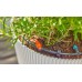 GARDENA MDS Kvapač radový 2 l/h 13317-20
