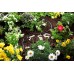 Gardena Micro-Drip-System Kvapkacia hadica 4,6 mm (3/16"), 15 m 1362-20