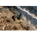 Metabo SP 120-35 S Ponerné čerpadlo na znečistenú vodu 601794000