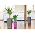 PLASTKON In- & Outdoor kvetináč Elise lesk 15 cm fuksie