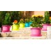 PLASTKON Kvetináč Campanula 13 cm antracit