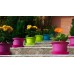 PLASTKON Kvetináč Campanula 9 cm taupe