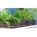 PLASTKON Truhlík Small window box s miskou 20 cm hráškovo zelená
