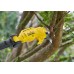 Stanley SFMCPP632D1 FatMax V20 Aku nožnice na vetvy na tyči (18V/1x2,0Ah)