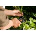 Fiskars Solid P32 nožnice záhradné dvoučepelové 20cm (111180) 1020191