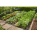 GARDENA Micro-Drip-System-štartovacia sada pre rastliny v riadkoch 25m 13015-20