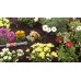 GARDENA Micro-Drip-System-základný redukčný prístroj 1000, 1355-20