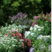 GARDENA Micro-Drip-System rozprašovacia tryska 90°( 5 ks), 1368-29