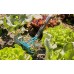GARDENA Combisystem kultivátor+ hrable, 9 cm 3165-20