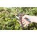 GARDENA Comfort B/S-XL Dvojnožové záhradné nožnice, 24 mm 8905-20