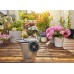Gardena AquaBloom Solárne zavlažovanie - súprava 13300-20