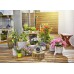 Gardena AquaBloom Solárne zavlažovanie - súprava 13300-20