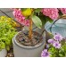 Gardena AquaBloom Solárne zavlažovanie - súprava 13300-20