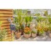 GARDENA EasyPlus Zavlažovací počítač 01897-20