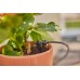 GARDENA MDS Štartový Set pre balkóny 15 rastlín 13401-20