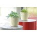 Prosperplast SANDY Kvetináč 18,8 cm, mocca DSY190