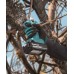 Makita DUP181Z Akumulátorové nožnice na vetvy, max. ø 30mm,Li-ion LXT 18V,bez aku Z