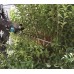 Makita UH006GM201 Aku nožnica na živé ploty 600mm, Li-ion XGT (40V/2x 4,0 Ah)