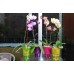 PROSPERPLAST COUBI kvetináč na orchidey 1,3l, fialová DUS130P