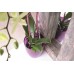 PROSPERPLAST COUBI Kvetináč vysoký 18,3 cm, zelená transparentná DUOW160P
