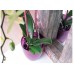 PROSPERPLAST COUBI kvetináč na orchidey 1,5l, fialová DUOW130P