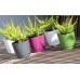Prosperplast COUBI ROUND P Kvetináč s miskou, 28 cm, 11l, grafit DUOP280