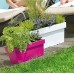 PROSPERPLAST LOFLY CASE Truhlík 38x18x16cm, 8l, fuksie DLOFC400