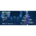 RETLUX RXL 17 60LED CAP 6 + 5M MULTI Vianočné osvetlenie 50001455