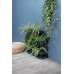 Prosperplast CASCADE GARDEN Sada kvetináčov 68,5x19x54,6cm, antracit IO2W600S
