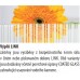 GELCO One sprchovací kút štvorcový 80 P, sklo LINK pravý GO2180SR